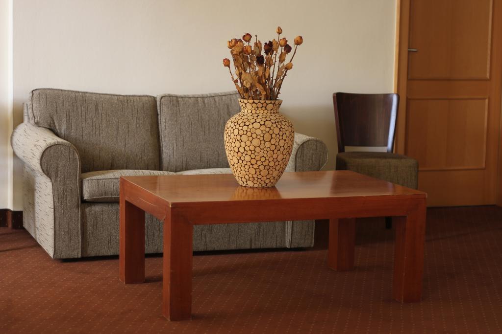 Hotel Theresia Kolín Екстериор снимка